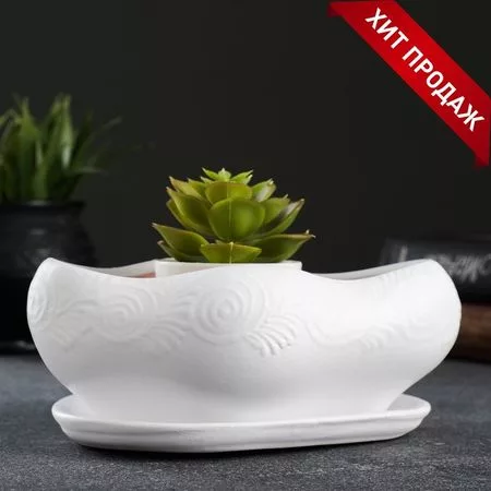 Горшок для кактусов и суккулентов «Бонсай» — для полив