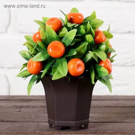 Искусственный цветок в горшке «Мандариновый куст» — для декор