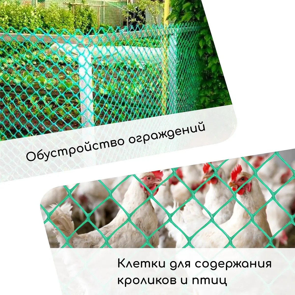 ячейка квадрат 50×50 мм — для огород — фото 4