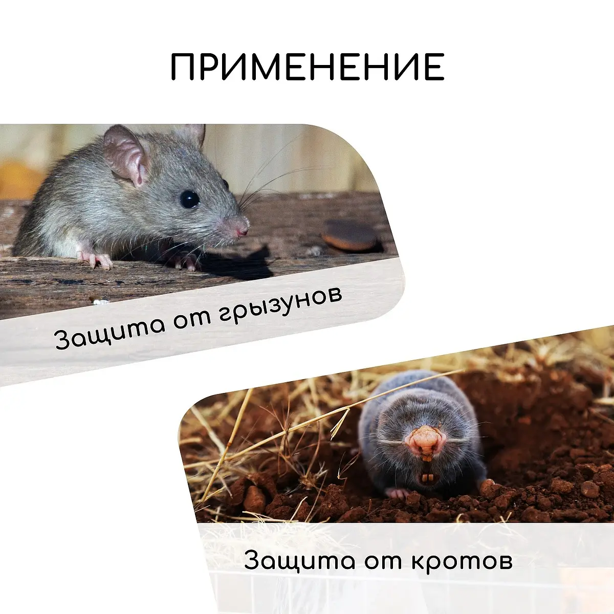 Сетка оцинкованная — для огород — фото 3