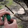 1 шт. Экологичная биоразлагаемая прививочная лента — для участок