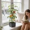 Ящик для цветов с решеткой Уличная клетка-опора для вьющихся растений Горшок на — для огород