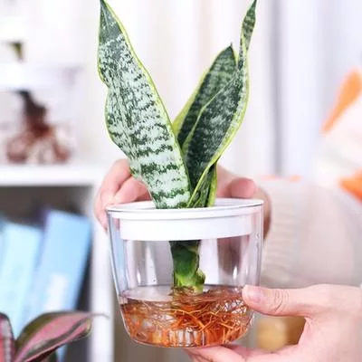 Цветочный горшок Прозрачный герметичный утолщенный антитрещинный самополивающийся — для полив — фото 3