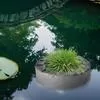 18 см/27 см Тканевый плавающий горшок для пруда Контейнер для водных цветов Плавучий — для хранение