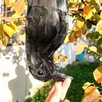 Стимулированная Реалистичная Подвесная Ворона Черная Пернатая Птица Хэллоуин Бар — для участок — фото 2