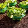 5 шт. Многоразовые улиточные воротники Контроль вредителей Экономия воды Защитные — для инструмент