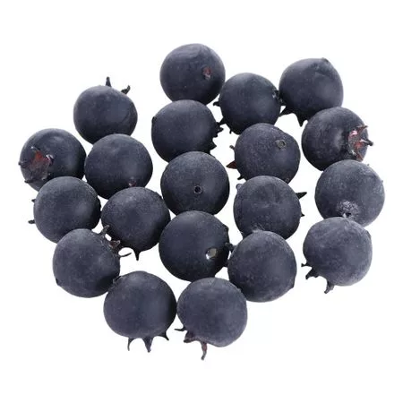 Вечеринка Сад Фрукты Модель Симуляция Черника Фото Реквизит Домашний Декор — для участок