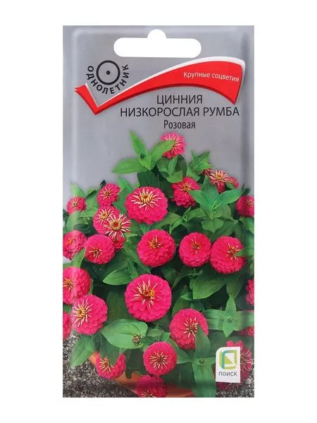 Семена цветов Цинния низкорослая Румба Розовая — для огород