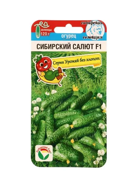 Семена Огурец Сибирский салют 7шт — для огород