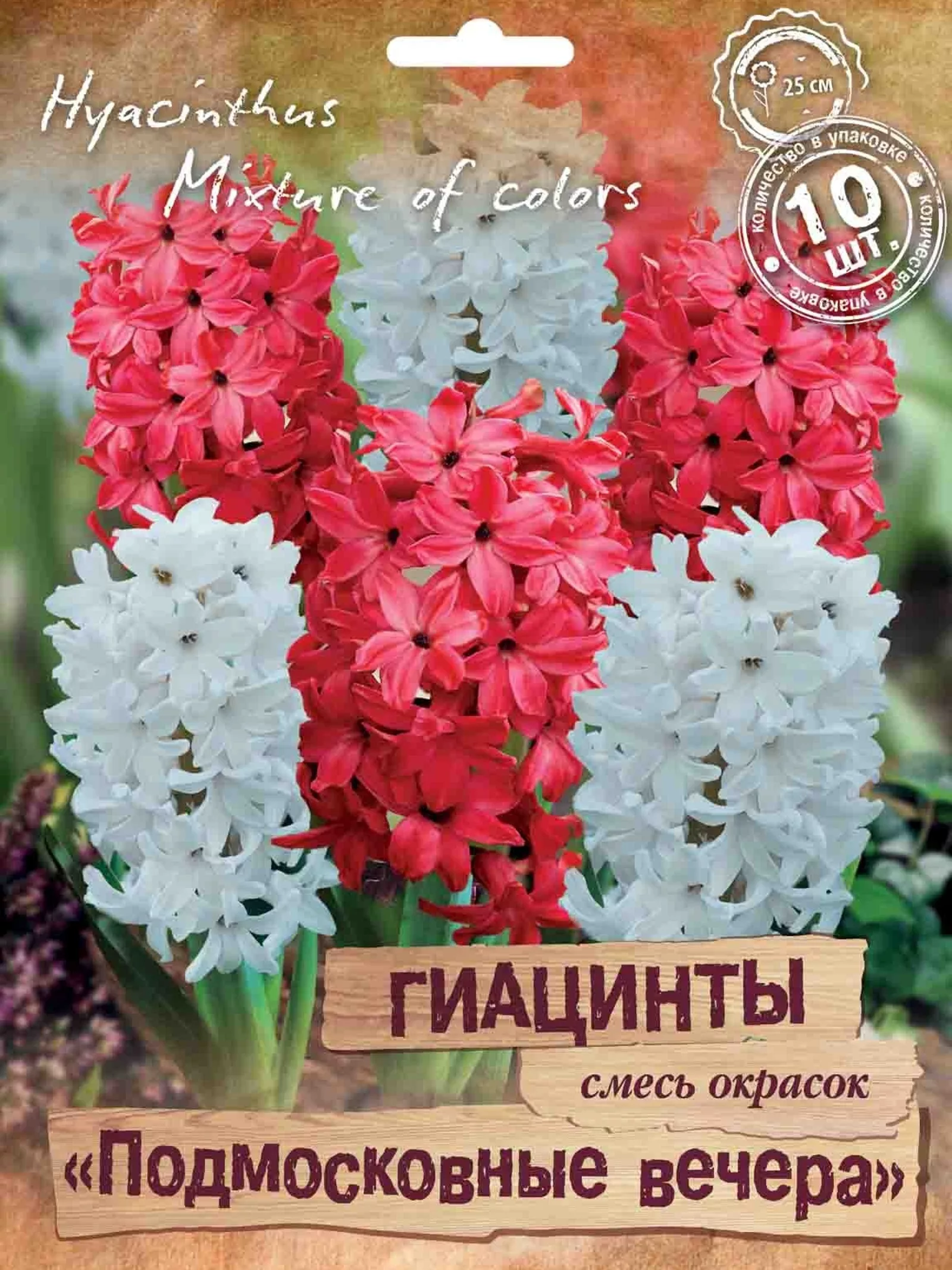 Гиацинт садовый «Подмосковные вечера» — для участок