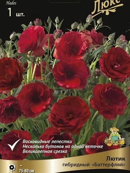 Ранюнкулюс «Баттерфляй Аид» — для огород