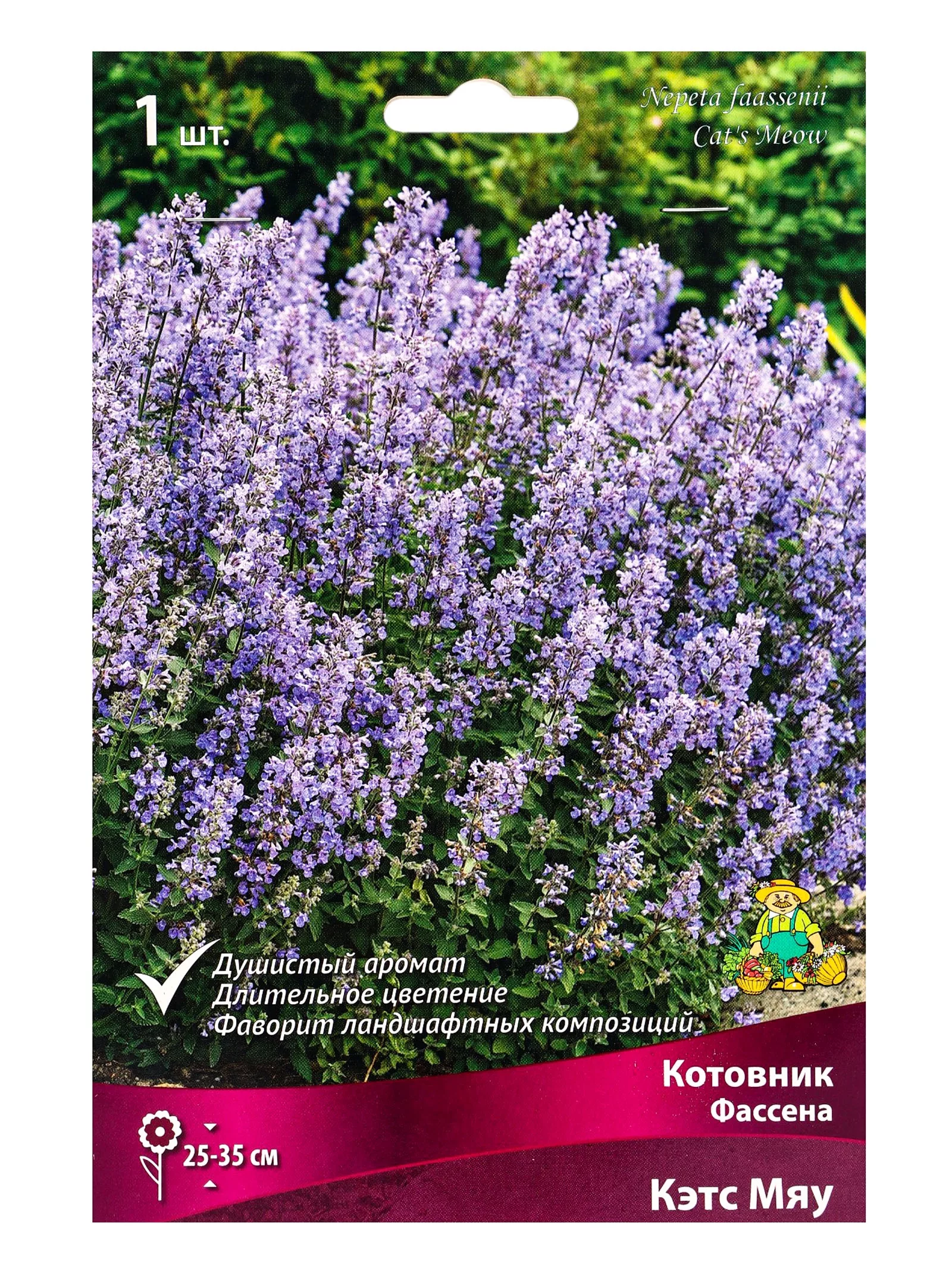 Котовник Фассена «Кэтс Мяу»