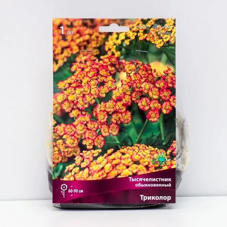 Тысячелистник обыкновенный «Триколор» — для полив