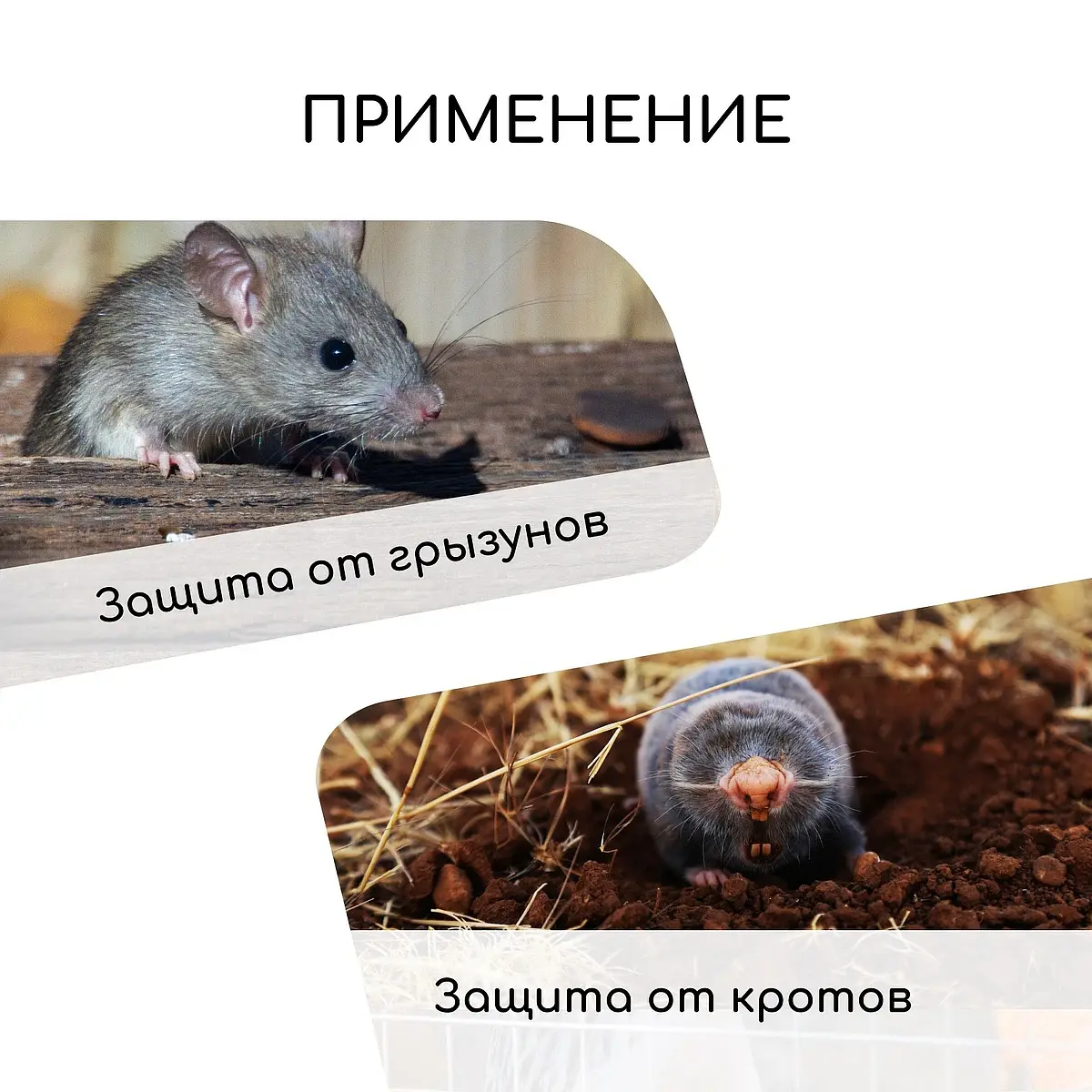 Сетка оцинкованная — для огород — фото 3
