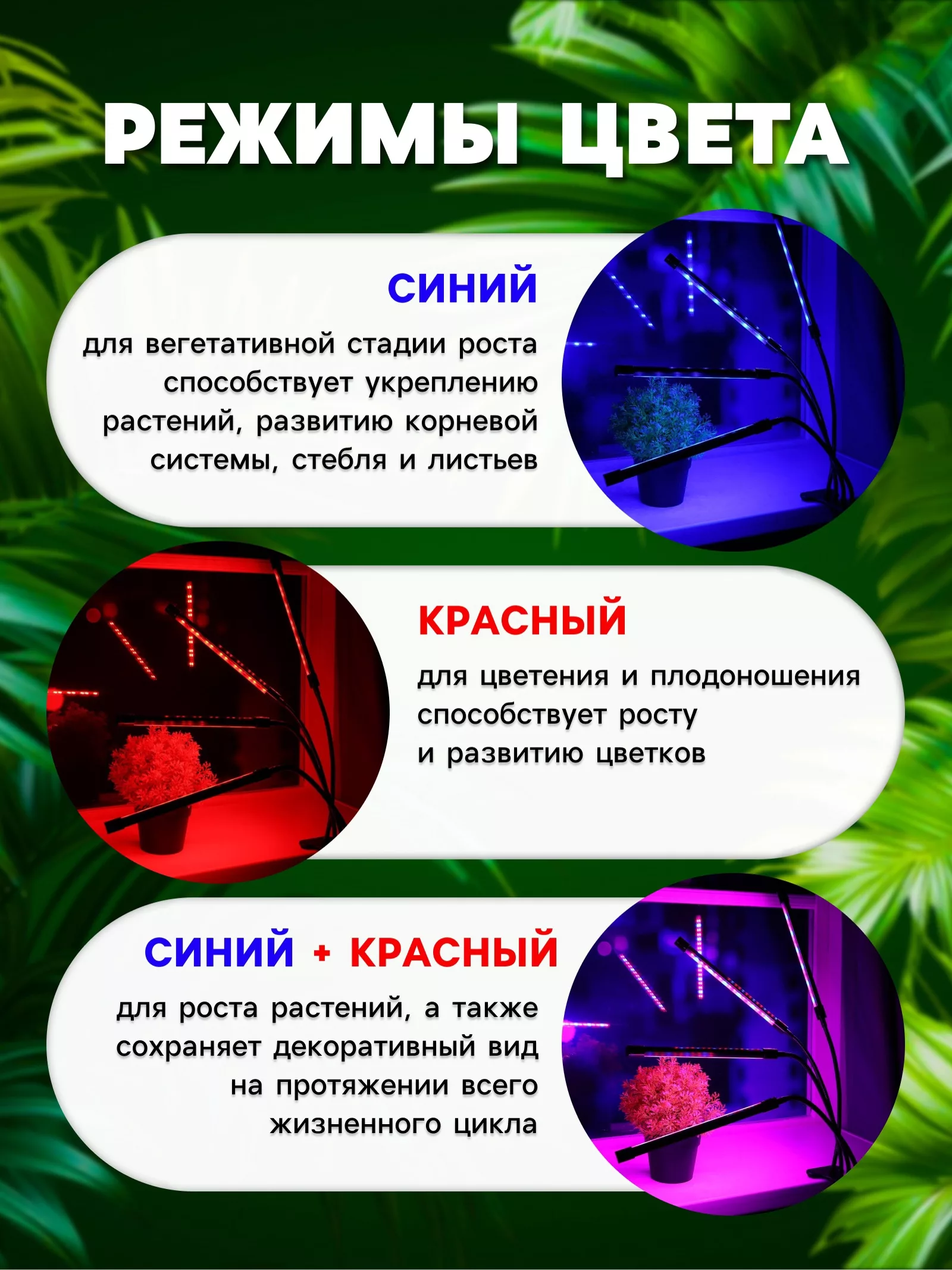 Фитосветильник для растений — фото 5