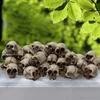 20 шт. Мини-фигурка черепа — для декор