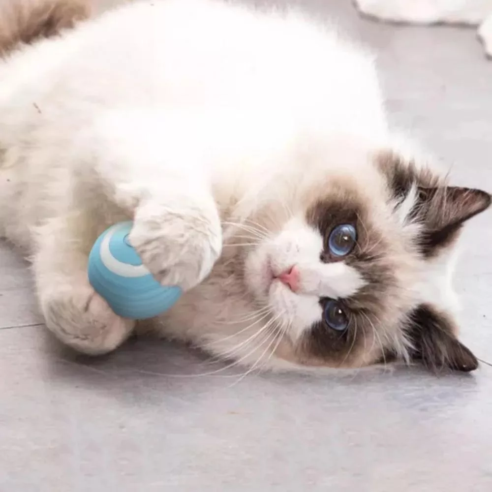Игрушки для кошек Электрический мяч Вещи для — для участок — фото 4