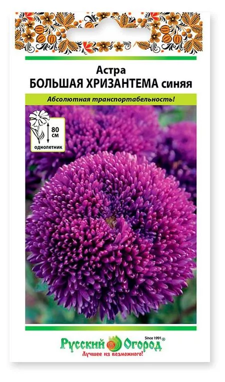 Семена Русский Огород Астра Большая хризантема синяя — для огород