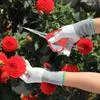 Ножницы для винограда Секатор с пинцетом Садовый инструмент Огород Бонсай Профессиональная — для огород