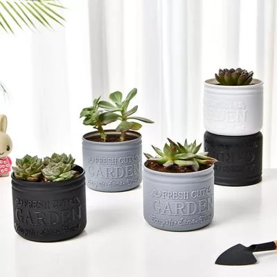 1 шт. Цветочный горшок Круглые кашпо — для декор — фото 3