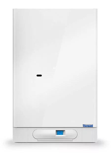 Настенный одноконтурный котел Thermona THERM DUO 43 FT.А — для полив