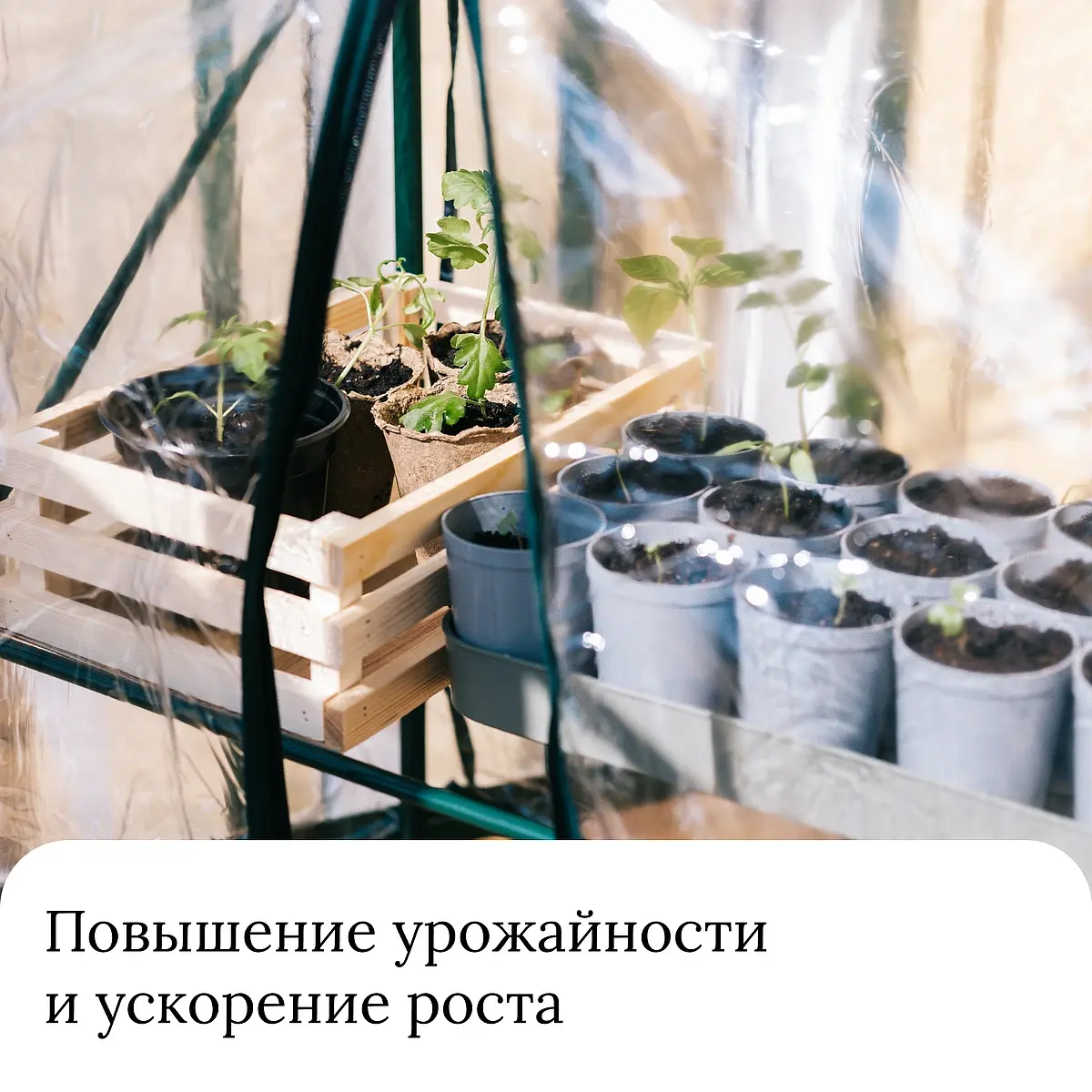 Парник-стеллаж для рассады — для теплица — фото 8