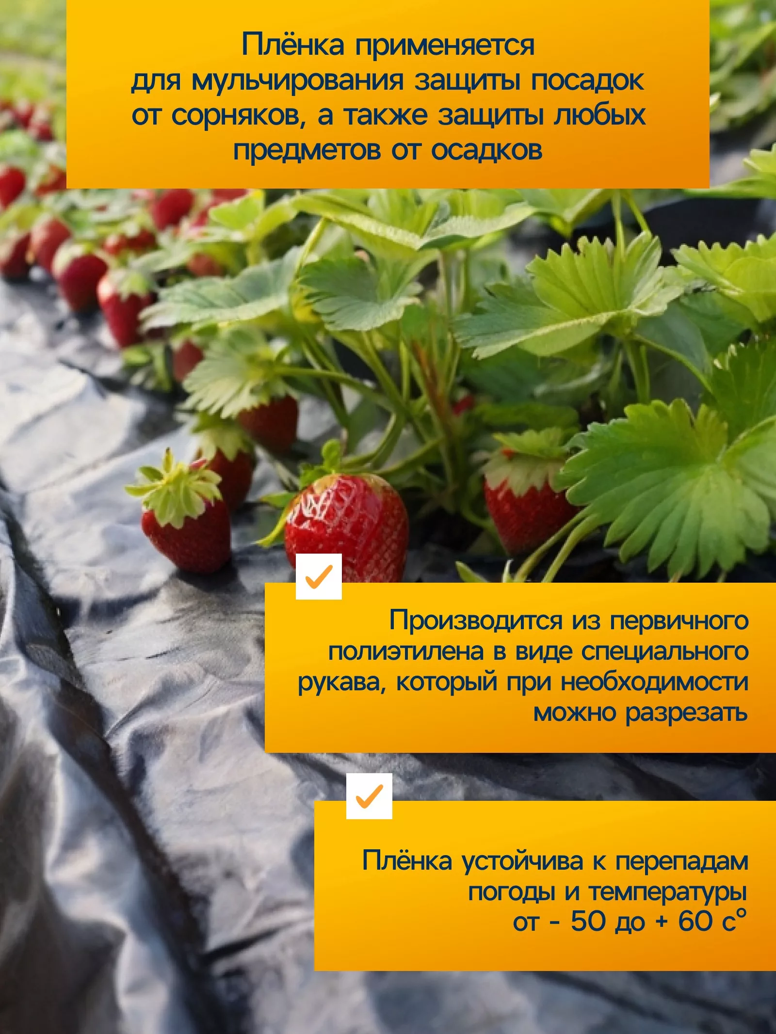 Плёнка полиэтиленовая — для теплица — фото 2