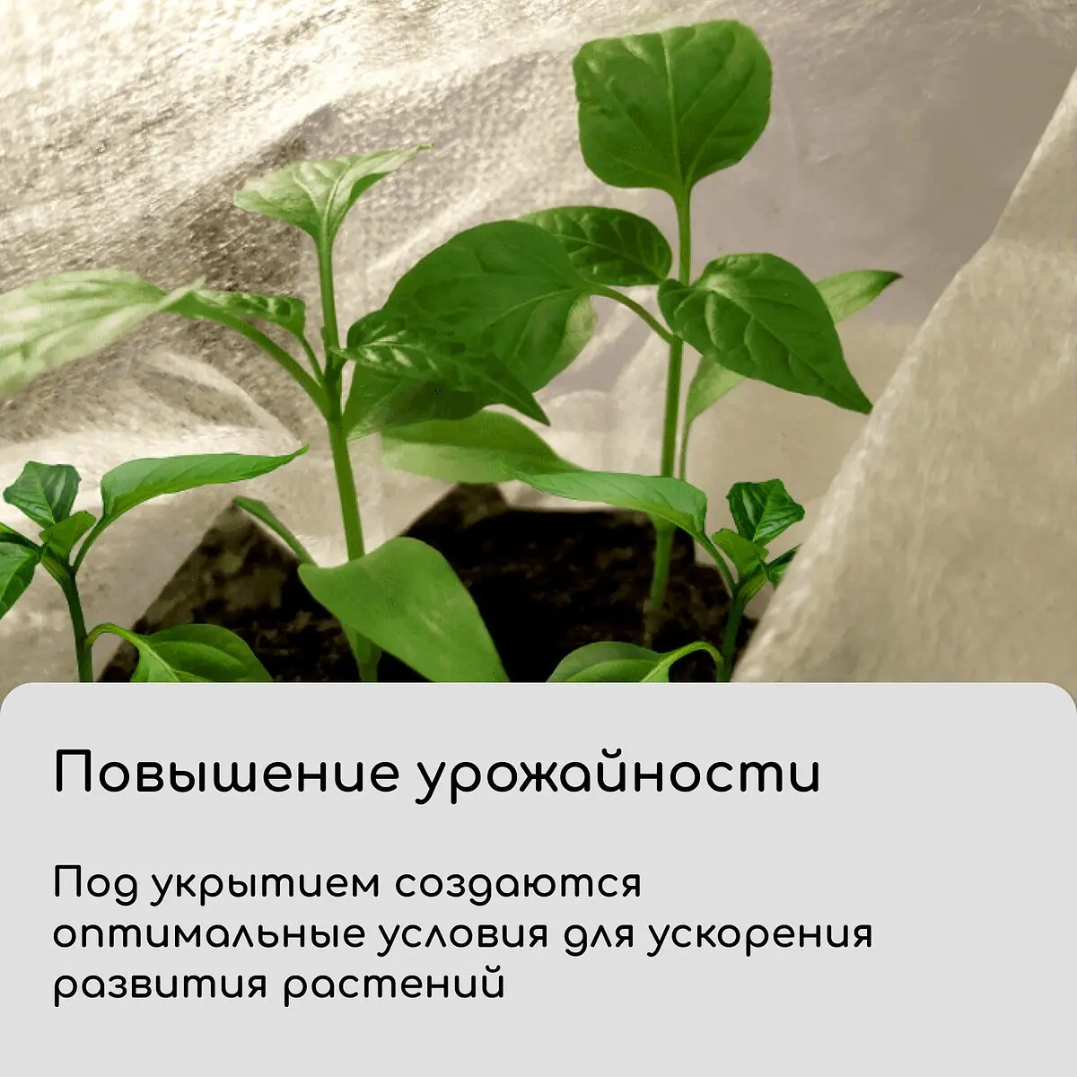 спанбонд с уф-стабилизатором — для теплица — фото 3