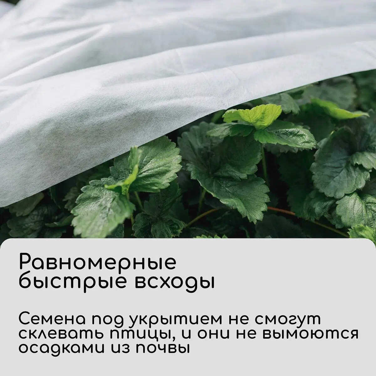 спанбонд с уф-стабилизатором — для теплица — фото 4