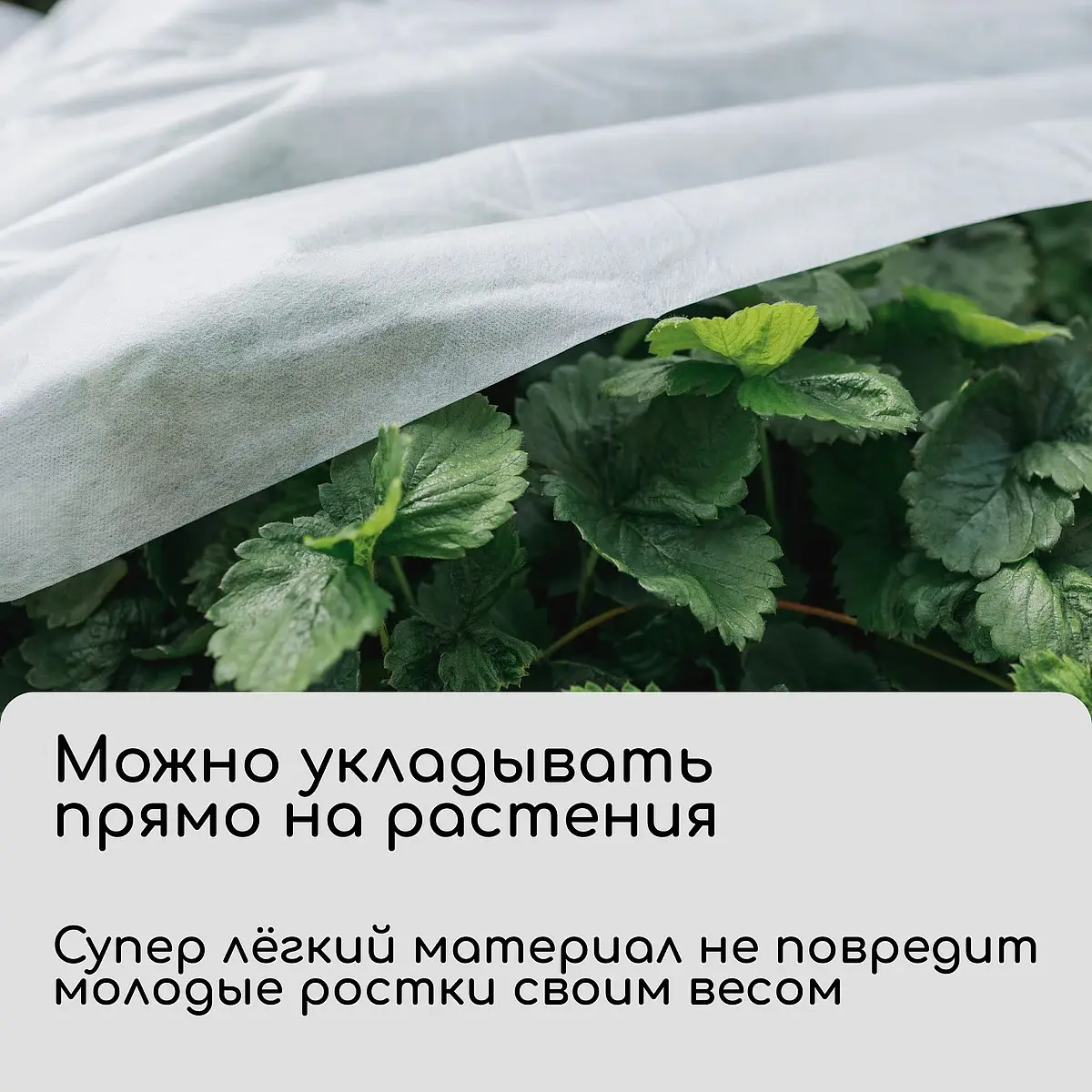 спанбонд с уф-стабилизатором — для теплица — фото 2
