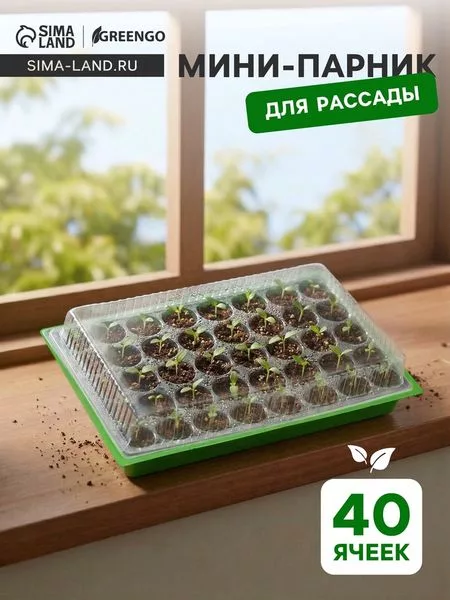 Мини-парник для рассады — для теплица