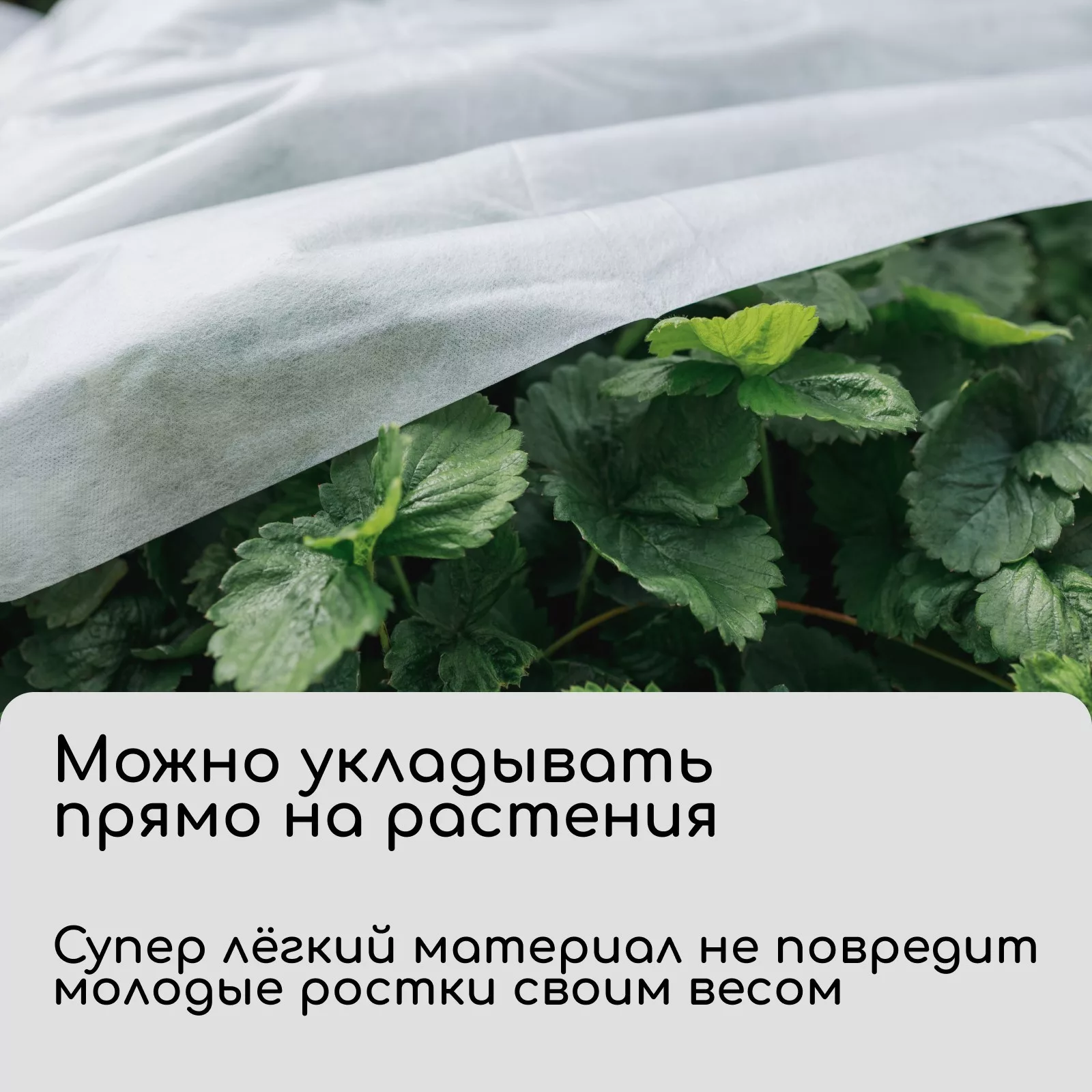 спанбонд с УФ-стабилизатором — для теплица — фото 2