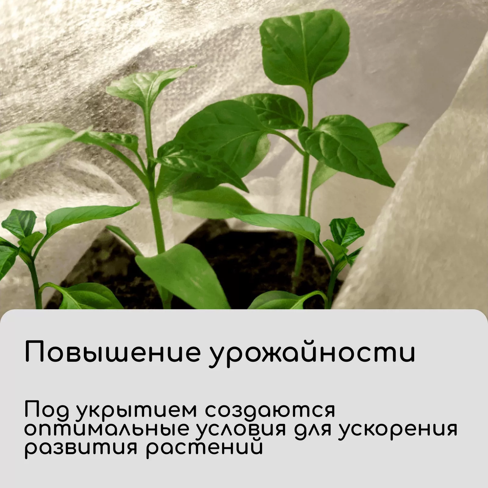 спанбонд с УФ-стабилизатором — для теплица — фото 3