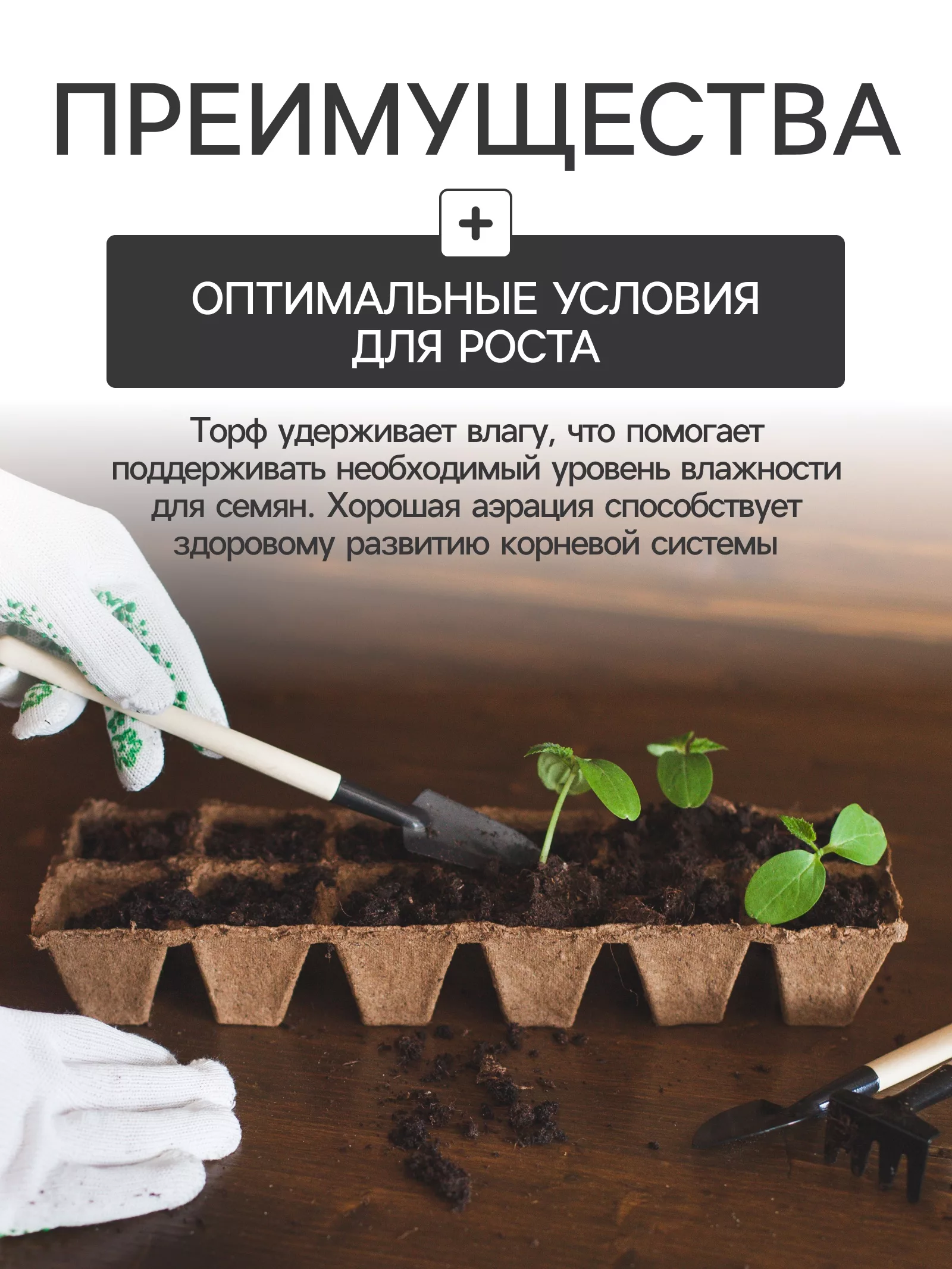 Набор для рассады: торфяная кассета — для огород — фото 5