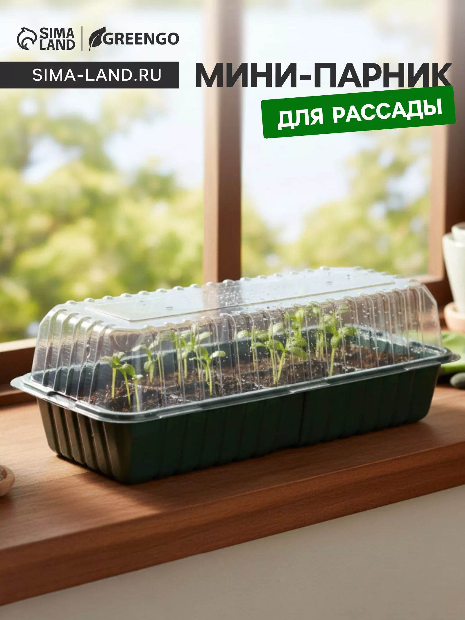 Мини - парник для рассады — для теплица