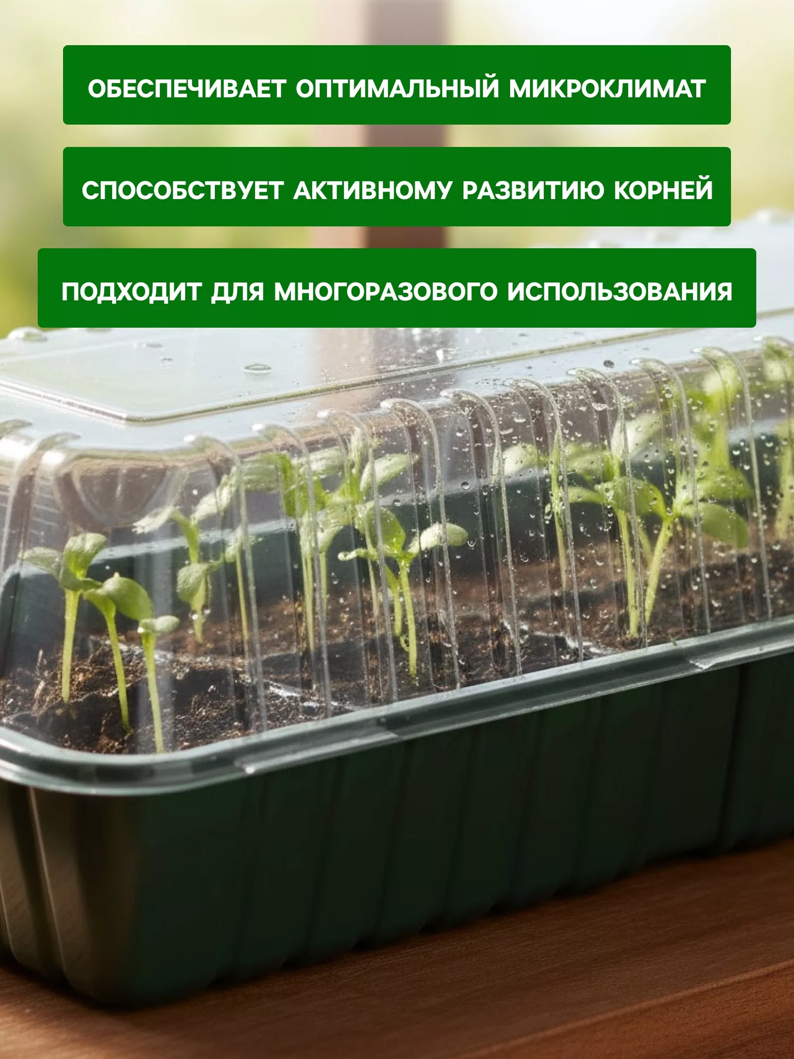 Мини - парник для рассады — для теплица — фото 3