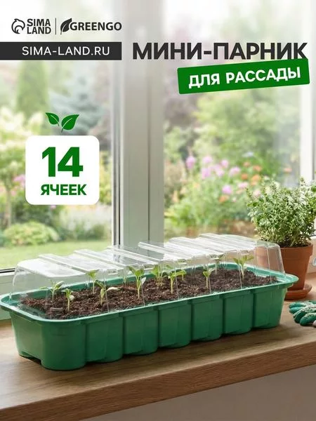 Мини - парник для рассады — для теплица