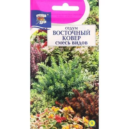 Семена цветов Седум «Восточный ковер» — для огород
