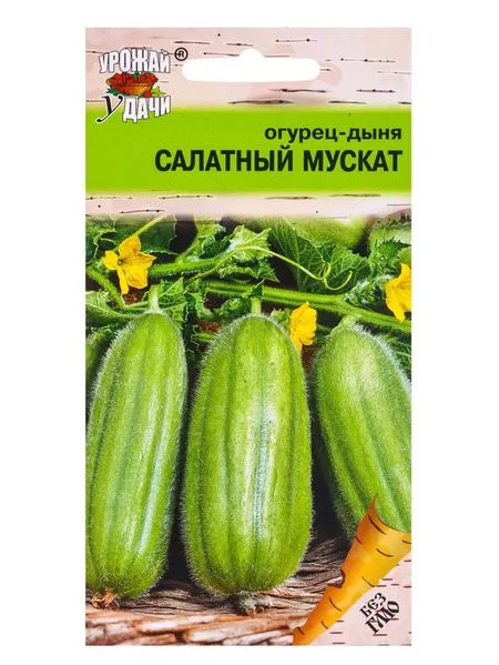 Семена Огурец - дыня «Салатный мускат» — для огород — фото 3
