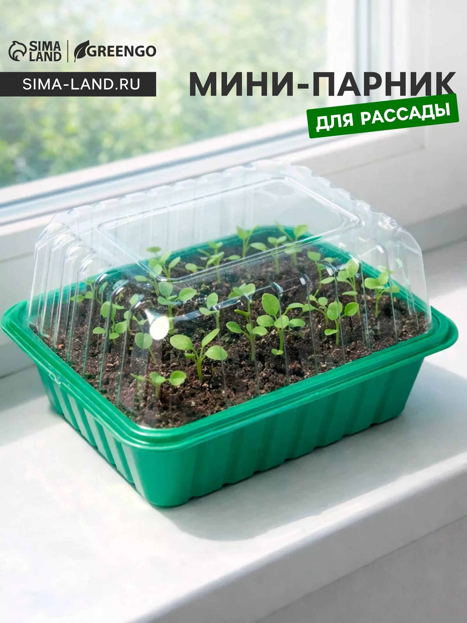 Мини - парник для рассады — для теплица
