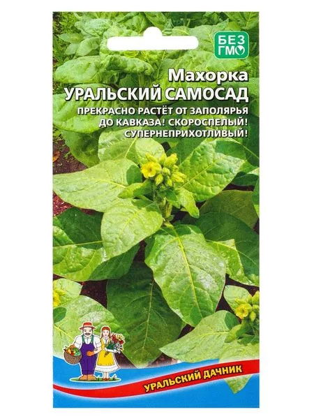 Семена Махорка «Уральский Самосад» — для огород — фото 5