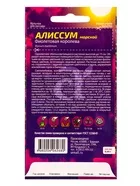 Семена цветов Алиссум «Фиолетовая Королева» — для огород — фото 5