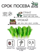 Семена Салат листовой «Московский парниковый» — для теплица — фото 9