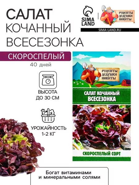 Семена Салат кочанный "Всесезонка" — для огород