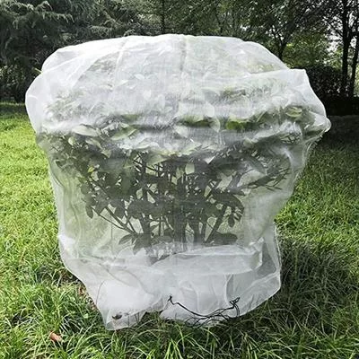 Садовые колпаки для растений Мини-парник — для теплица — фото 3