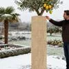 Укрывной материал от мороза для уличных растений Дышащее укрытие Дышащий зимний — для теплица