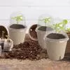 10 шт. Стаканчик для рассады Горшок для — для теплица — фото 5